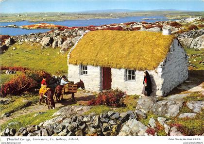 uk51954 tatched cottage connemara galway ireland