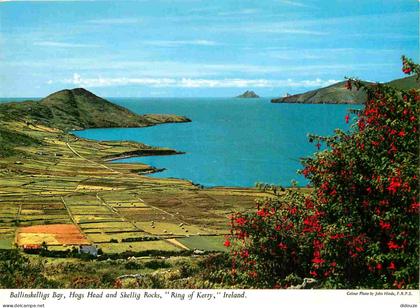 Carte Postale - Irlande - Kerry - Ring of Kerry - Ballinskelligs Bay - Hogs Head and Skellig Rocks - Ireland - Irlanda -