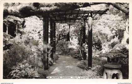[-10%] IRLANDE - The Japanese Gardens - Tully - Kildare - Carte Postale Ancienne