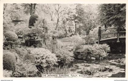 [-10%] IRLANDE - The Japenese Gardens - Tully - Kildare - Carte Postale Ancienne