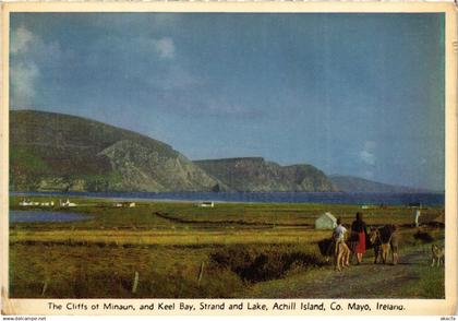 CPM AK Mayo Cliffs of Minaun IRELAND (1440997)