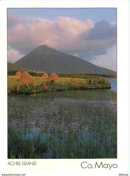 Irlande - Mayo - Achill Island - Ireland - Irlanda - CPM - Voir Scans Recto-Verso