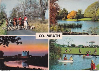 County Meath - Hunting , Castle at Trim