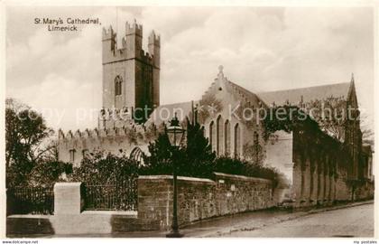 Limerick Irland St. Merys Cathedral