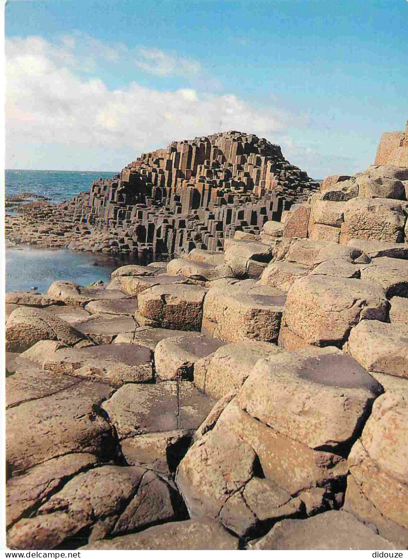 Irlande du Nord - Antrim - Giant's Causeway - Curiosité Géologique - Northern Ireland - Irlanda del Norte - CPM - Voir S