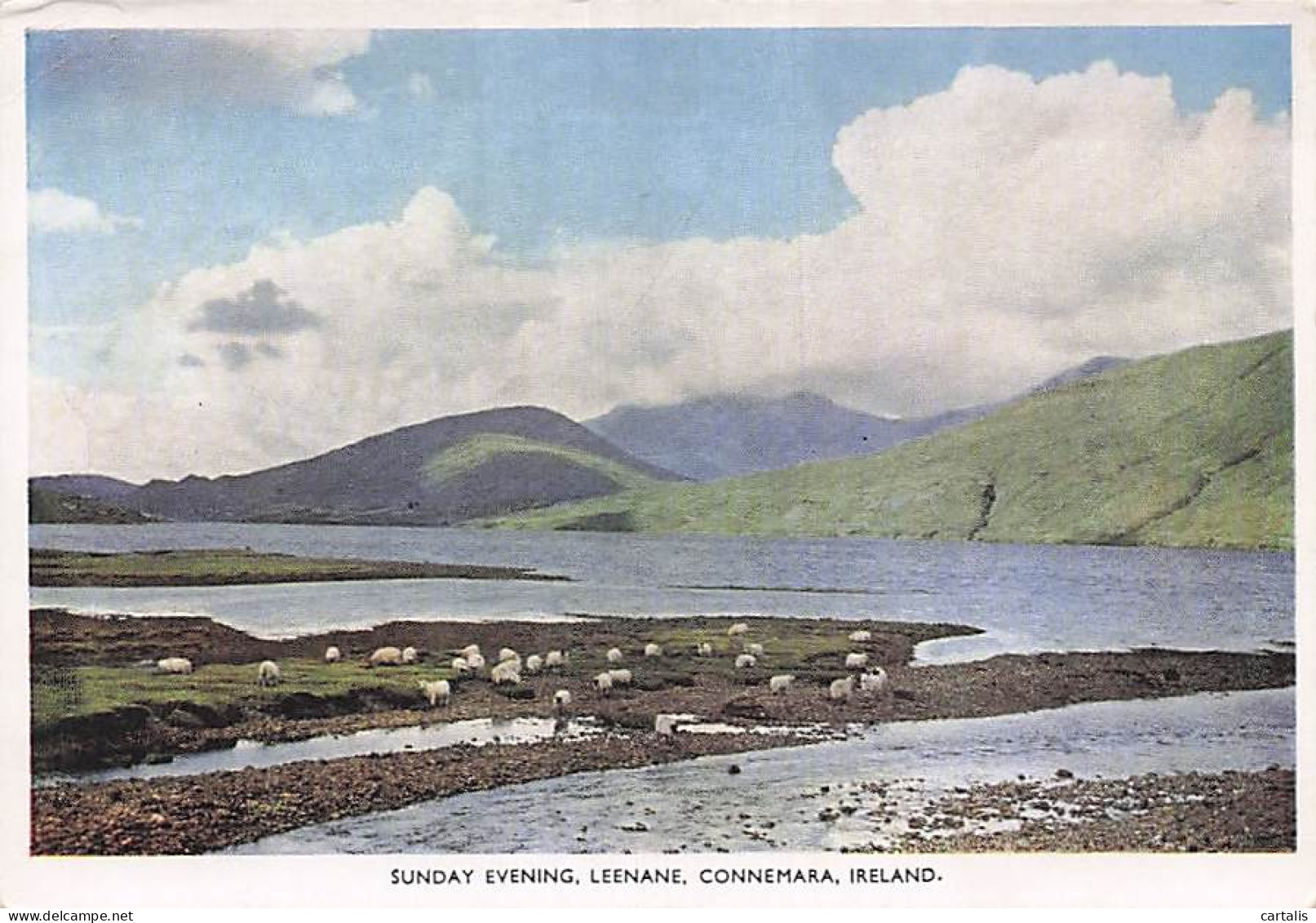 IRLANDE-LEENANE-CONNEMARA IRLANDE-N°7092-C/0335