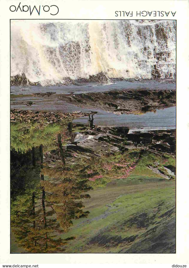 Irlande - Mayo - Aasleagh Falls - Erriff River - CPM - Carte Neuve - Voir Scans Recto-Verso