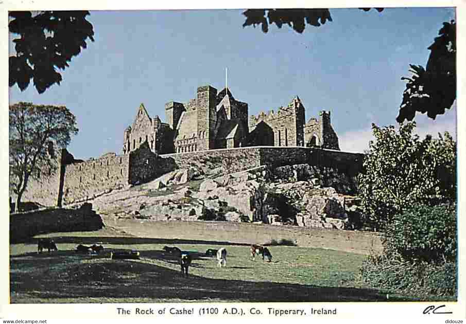 Irlande - Tipperary - The Rock of Cashel - Châteaux - Vieilles pierres - Carte Neuve - Ireland - CPM - Voir Scans Recto-