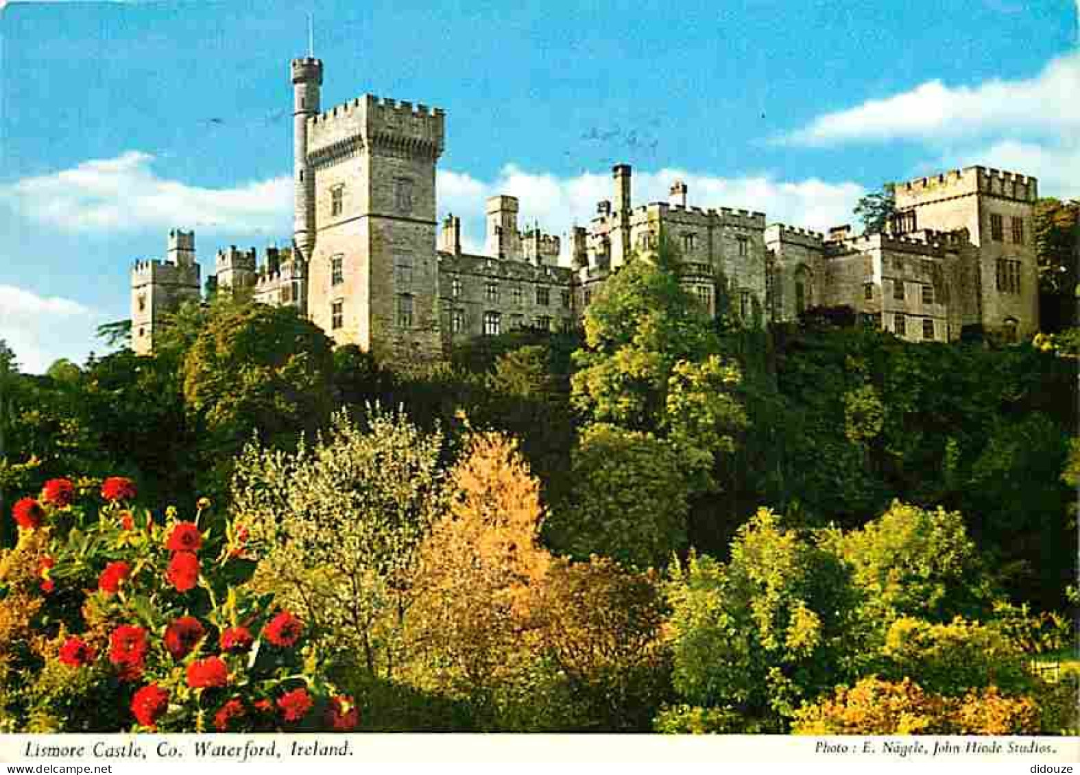 Irlande - Waterford - Lismore Castle - Ireland - CPM - Voir Scans Recto-Verso