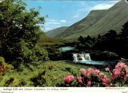 Carte Postale - Irlande - Leenane - Aasleagh falls near leenane co galway - Connemara - Co Galway - CPM - Voir Scans Rec