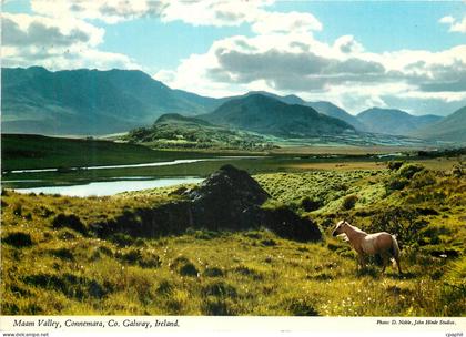 CPM Maam Valley Connemara Co Galway Ireland