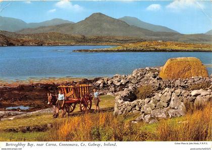 uk51802 bertragh bay near carna connemara galway ireland donkey