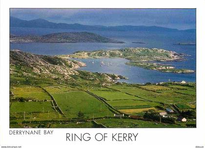Carte Postale - Irlande - Kerry - Ring of Kerry - Derrynane Bay - Aerial View - Vue aérienne - CPM - Voir Scans Recto-Ve