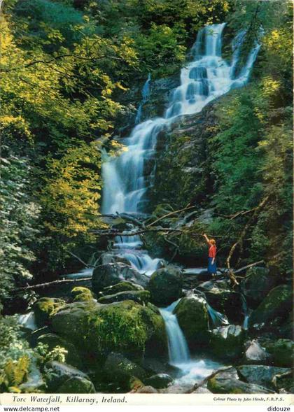 Carte Postale - Irlande - Killarney - Torc waterfall - Co Kerry - CPM - Voir Scans Recto-Verso