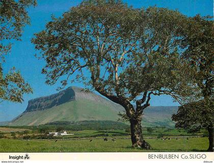 Carte Postale - Irlande - Sligo - Benbulben - Ireland - Irlanda - CPM - Voir Scans Recto-Verso - Poscard - Carta Postal