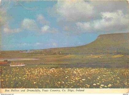Carte Postale - Irlande - Sligo - Yeats Country - Ben Bulben and Drumcliffe - Ireland - Irlanda - CPM - Voir Scans Recto