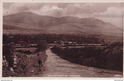 Glen Of Aherlow Tipperary Ireland Real Photo Old Postcard