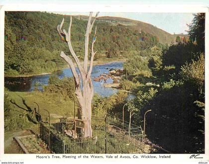 Carte Postale - Irlande - Vale Of Avoca - Moore's tree meeting of the waters - Co Wicklow Ireland - Co Wicklow - CPM - V