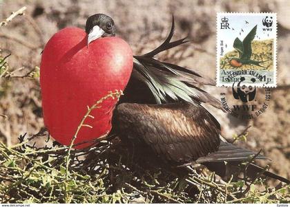 1990 - Ascension Island - Greater Frigatebird - Oiseau Fregate Nid  WWF