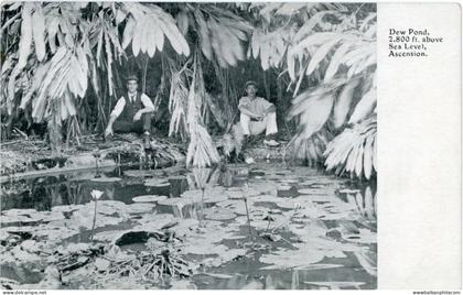 Ascension Dew Pond 2,800 ft. above Sea Level