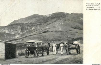 Ascension Island, View from Foot of Green Mountain, Horse Cart (1900s) Postcard