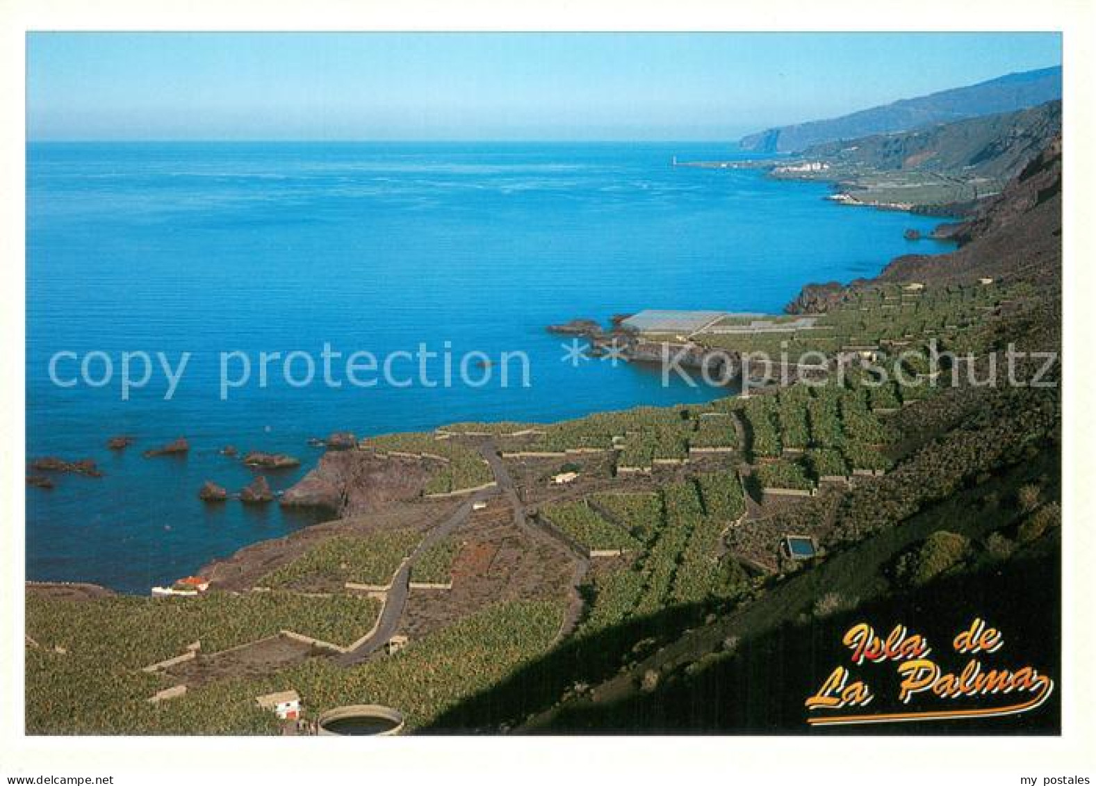 Isla de la Palma Vista del cultivo en terrazas entre Fuencaliente y Los Llanos