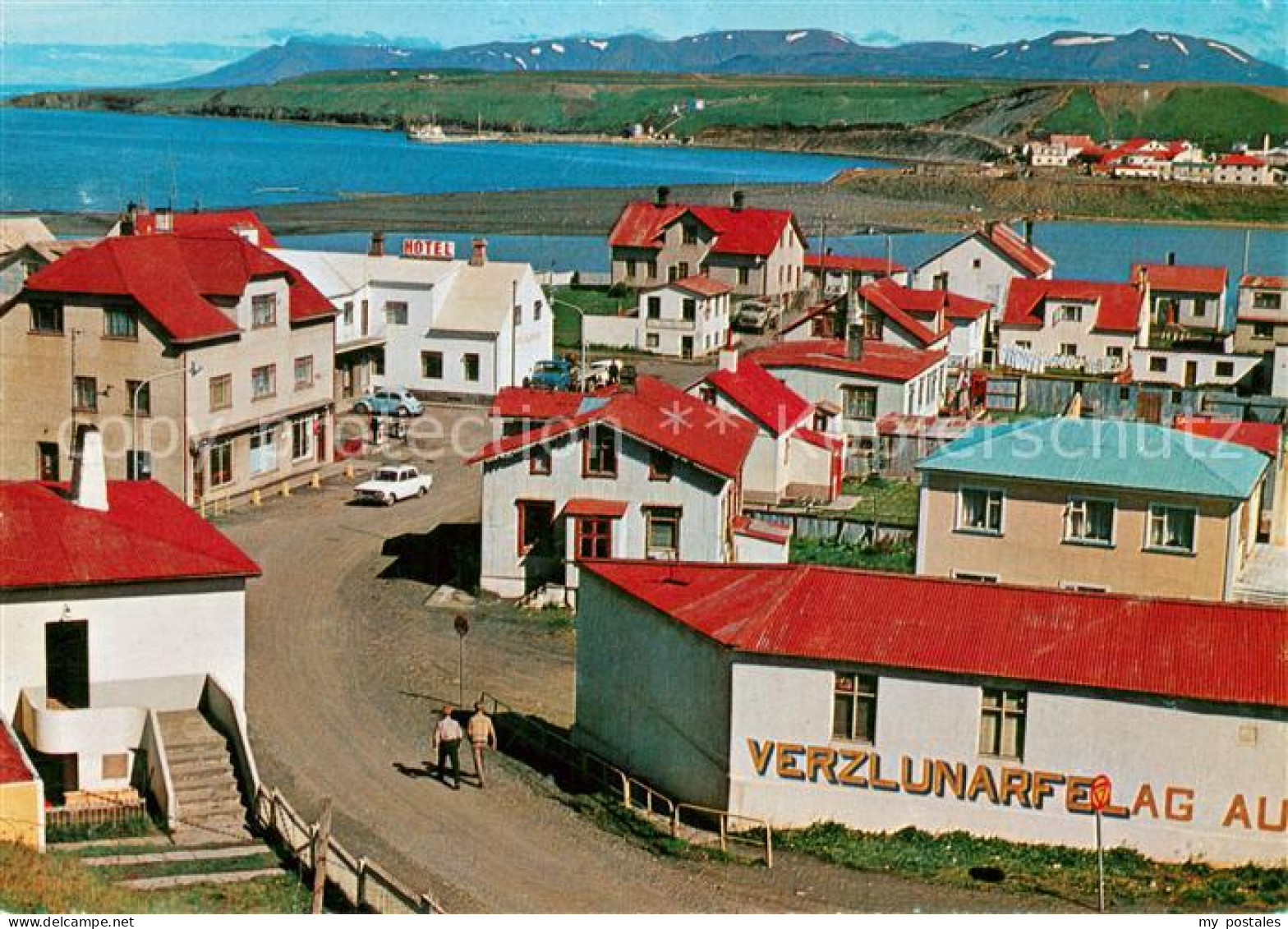 Island  Iceland Bloenduos