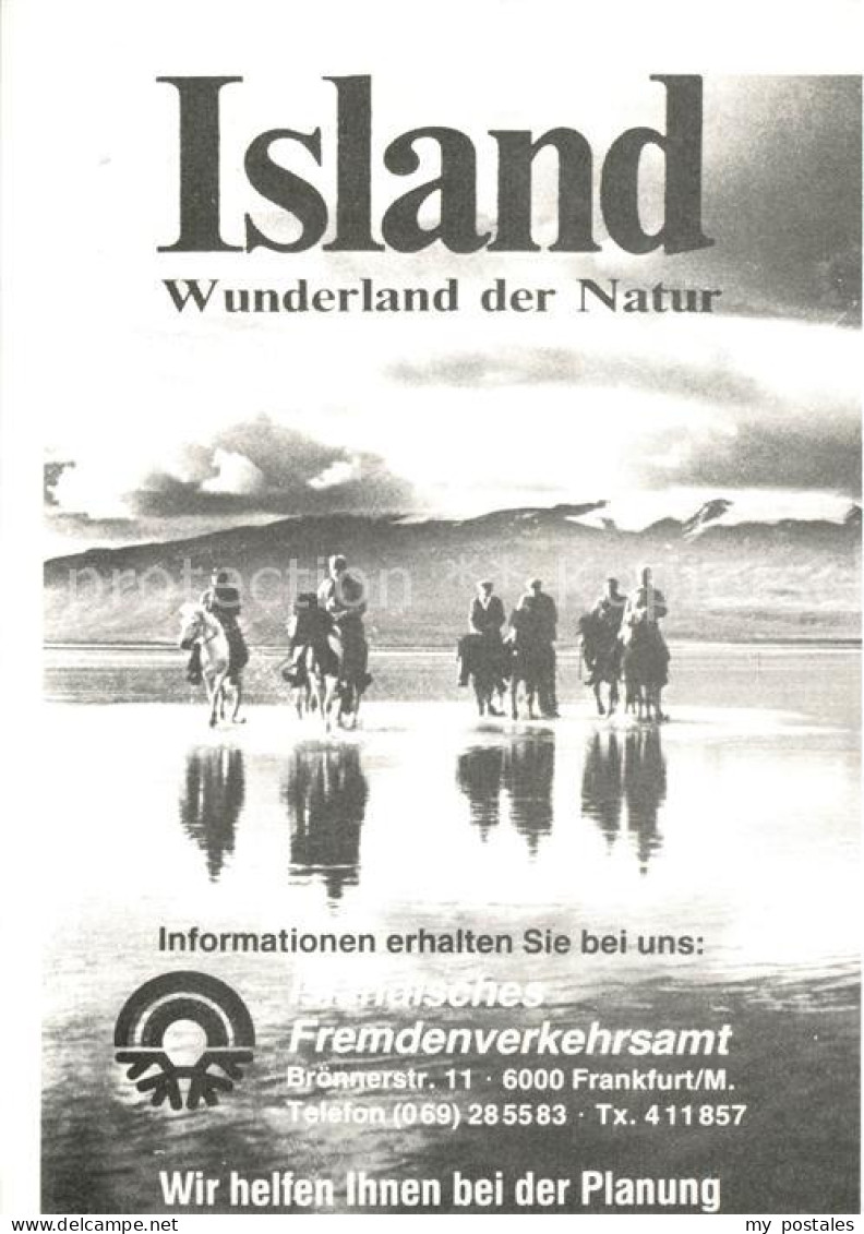 Island Iceland Reitergruppe