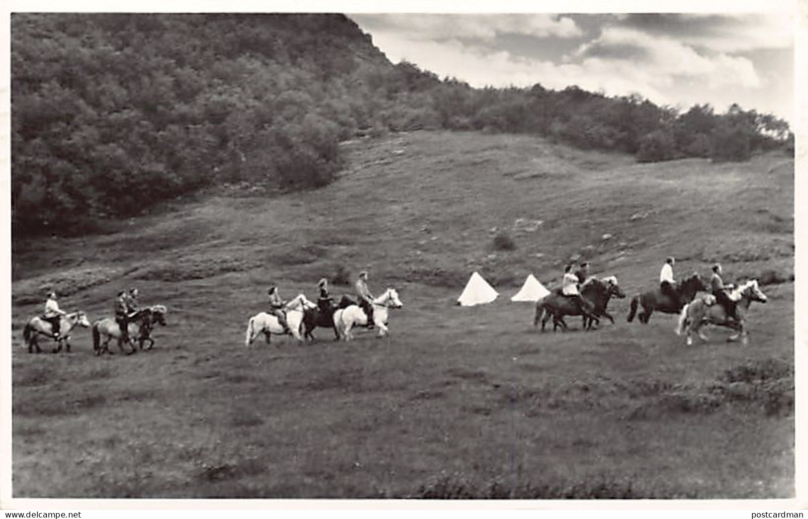 ÍSLAND Iceland - The ÍSLAND Icelandic Pinies - Publ. Th. R. Jonsson
