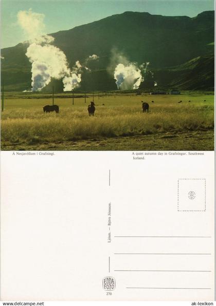 Island  Iceland A Nesjavöllum í Grafningi Island Iceland Landschaft Tiere 1980