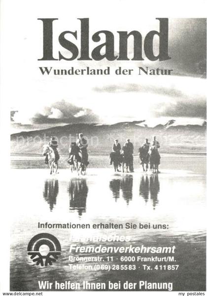 Island Iceland Reitergruppe