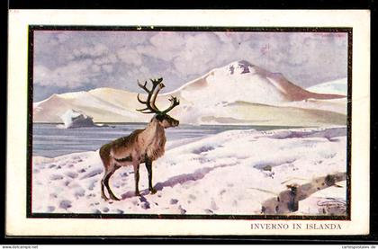 AK Islanda, Inverno in Islanda