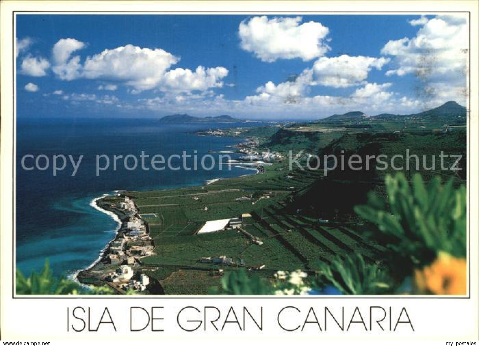 Islas Canarias Bananenplantagen Nordkueste