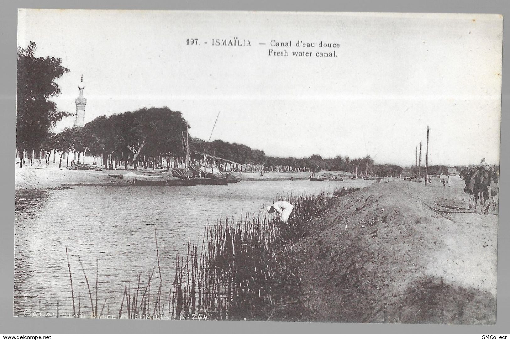 Ismaïlia, canal d'eau douce (A17p42)