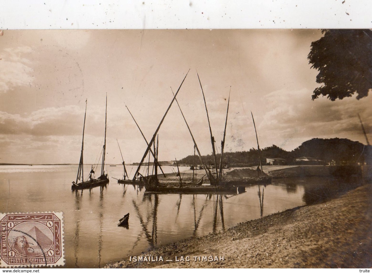 ISMAILIA LAC TIMSAH (CARTE PHOTO )