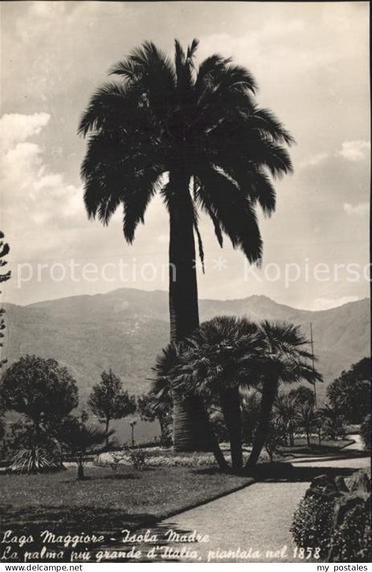 Isola Madre Lago Maggiore Lago Maggiore