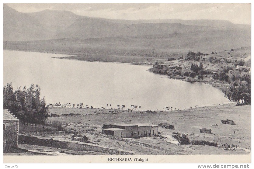 Israël - Bethsaida - Tabga - Panorama