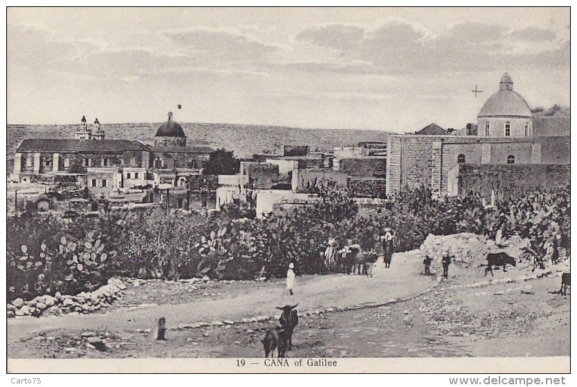 Israël - Cana of Galilée - Panorama