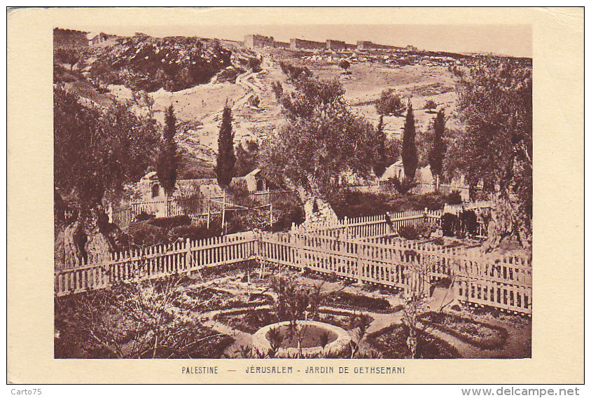 Israel - Israël - Jérusalem - Palestine - Jardin de Gethsemani