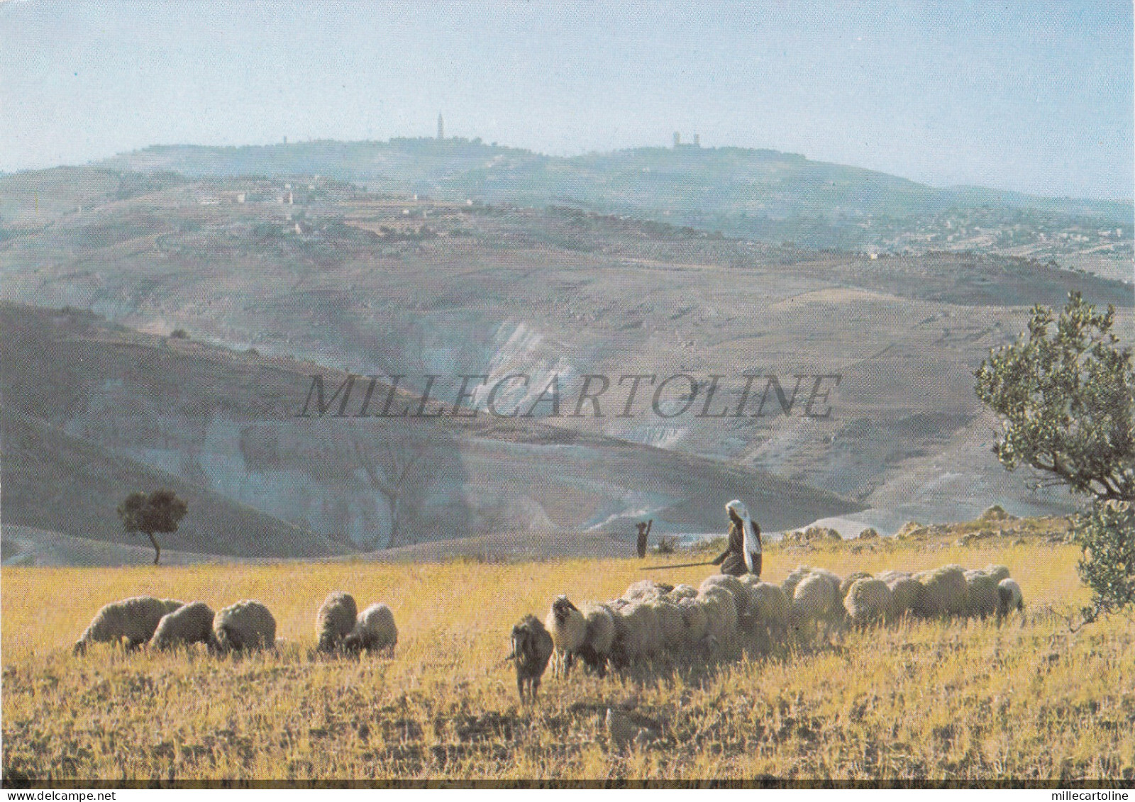 ISRAEL - View towards Jerusalem from the Judean wilderness, Postcard
