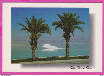 288989 / Israel - The Dead Sea , Palm Nature PC Photography by J. Sahar Israele