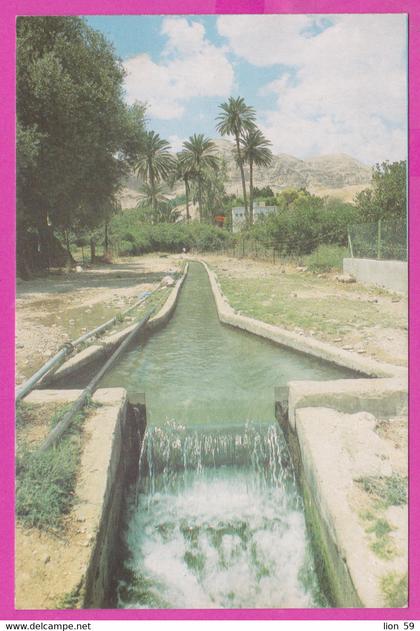 288992 / Israel - Jericho Irrigation Channel From the Spring Of Elisha ( The Spring of Sultan) PC  Israele