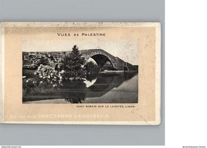 50285084 - Palaestina