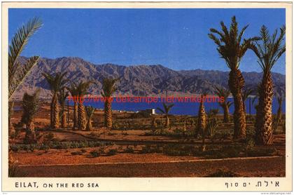 Eilat - Israel