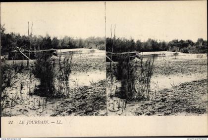 Stereo CPA Jordanien, Partie am Jordan, Wasserpflanzen, Vegetation