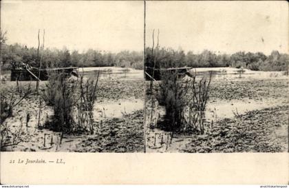 Stereo CPA Jordanien, Partie am Jordan, Wasserpflanzen, Vegetation