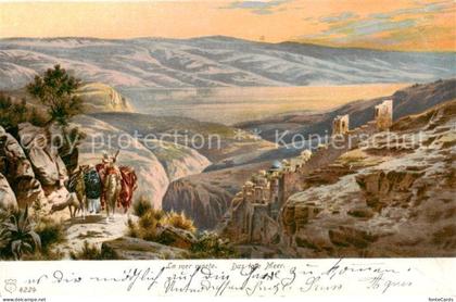 Totes Meer Dead Sea Israel Panorama