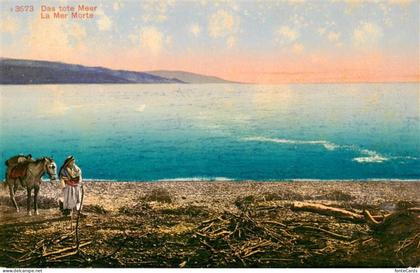 Totes Meer Dead Sea Israel Panorama