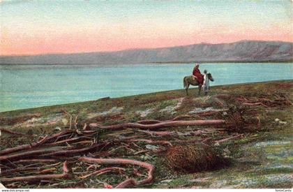 Totes Meer Dead Sea Israel Partie am Meer