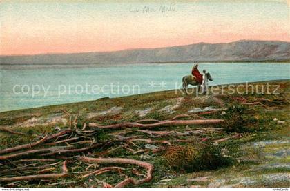 Totes Meer Dead Sea Israel Ufer Panorama